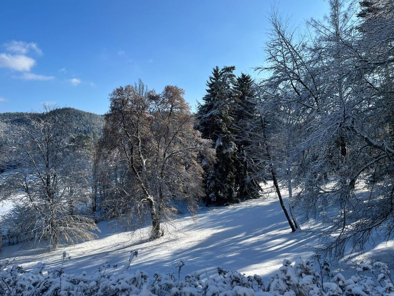 Hotel U Zamecku Cihelny Karlovy Vary Kültér fotó